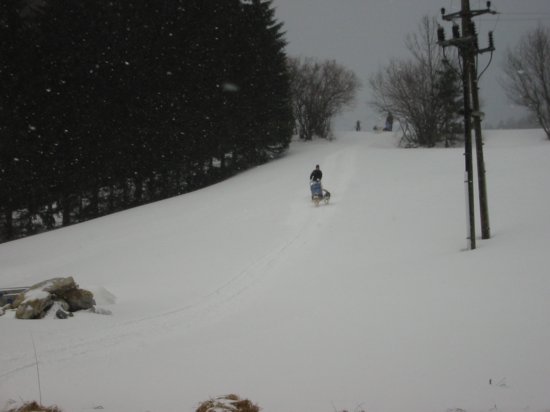 img_9533.jpg