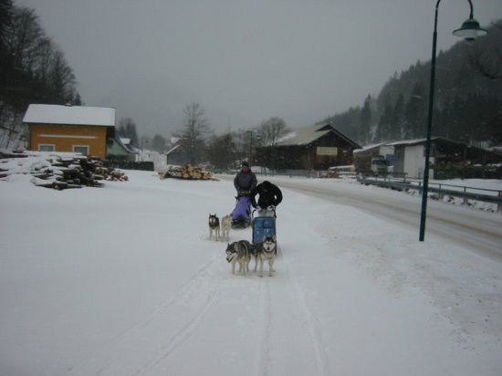 img_9535.jpg