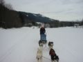 img_9460.jpg