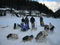 img_9536.jpg