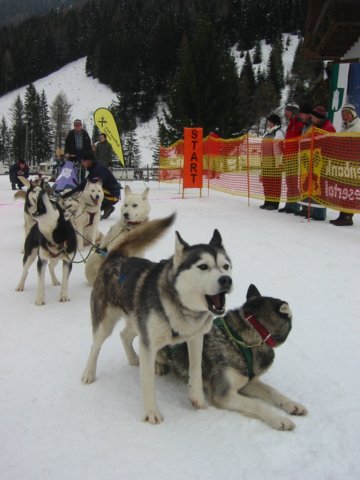 img_9570.jpg