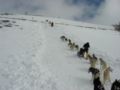 dscn8180.jpg