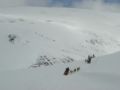 dscn8184.jpg