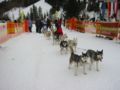 img_9566.jpg