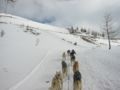 img_9584.jpg