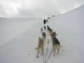 img_9595.jpg