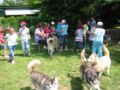 img_9805.jpg
