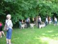 img_0019.jpg