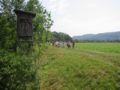 img_0108.jpg