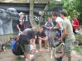 img_0456.jpg