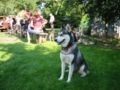 img_0475.jpg