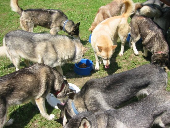 img_0356.jpg
