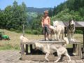 img_0300.jpg