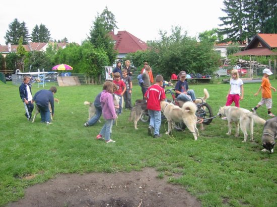 img_0521.jpg