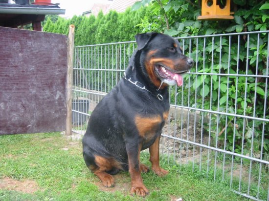 img_0483.jpg