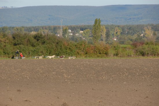dsc_0054.jpg