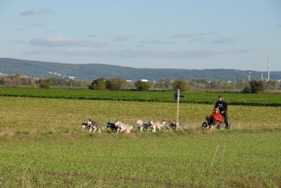 dsc_0063.jpg
