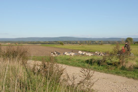 dsc_0064.jpg