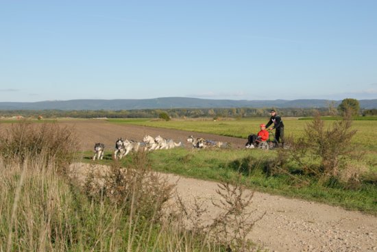 dsc_0065.jpg