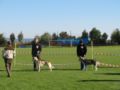 das_sind_2_hunde_von_mir__beide_hunde_in_b1_und_a_gelaufen..jpg