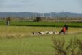 dsc_0062.jpg