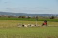 dsc_0063.jpg