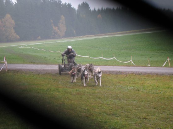 zieleinlauf.jpg