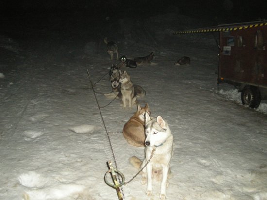 dscn0090.jpg