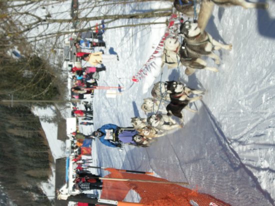 dscn0108.jpg
