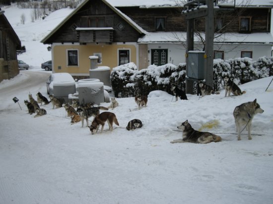 dscn0141.jpg