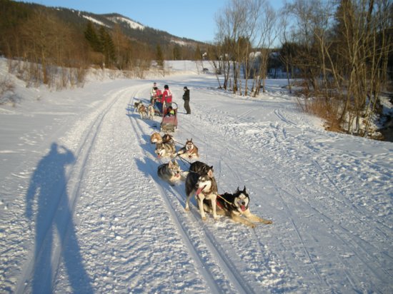 dscn0156.jpg