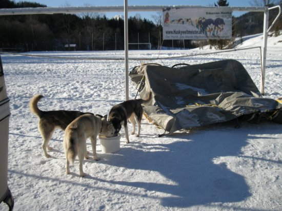 dscn0172.jpg