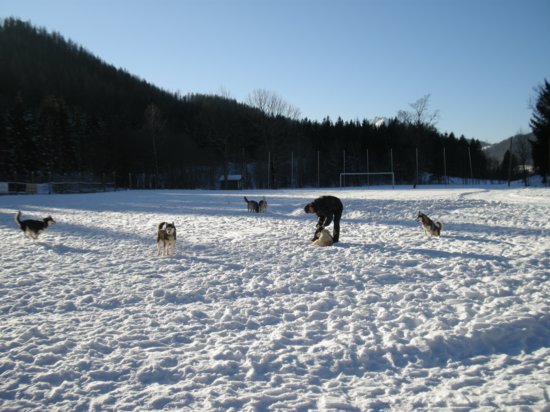 dscn0177.jpg