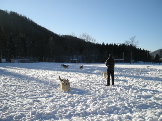 dscn0179.jpg