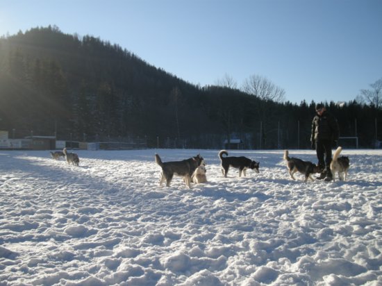 dscn0181.jpg