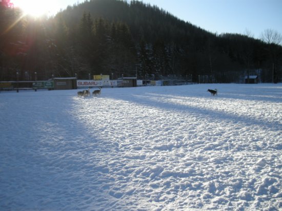 dscn0188.jpg