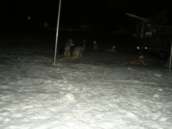 dscn0193.jpg