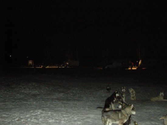 dscn0194.jpg