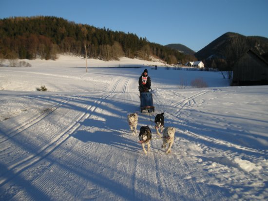 dscn0199.jpg