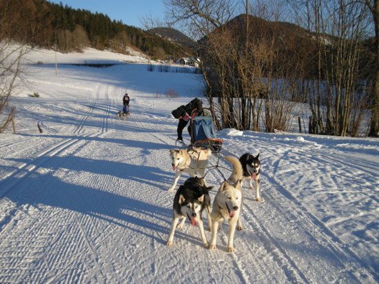dscn0200.jpg