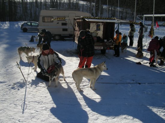 dscn0217.jpg