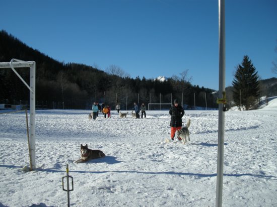 dscn0222.jpg