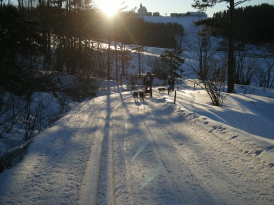 dscn0232.jpg