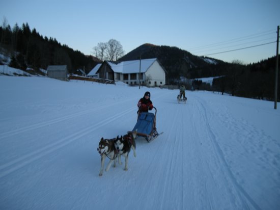dscn0233.jpg