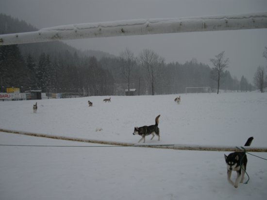 dscn0239.jpg