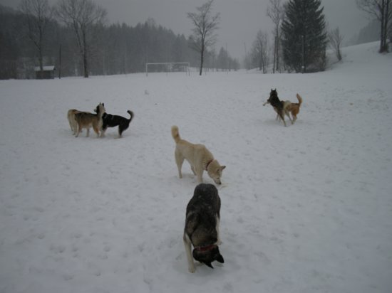 dscn0240.jpg