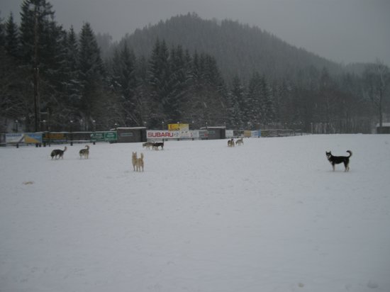 dscn0242.jpg