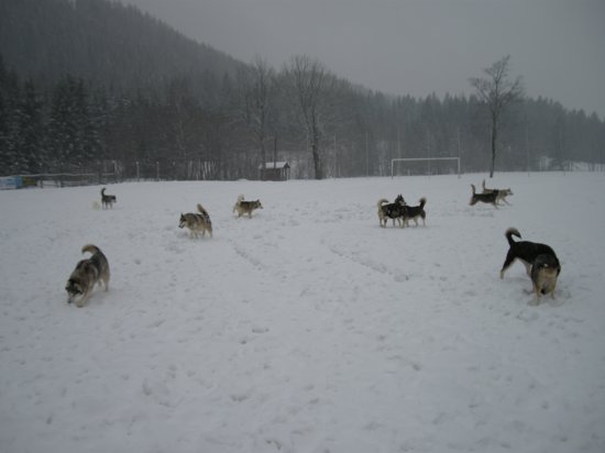 dscn0243.jpg
