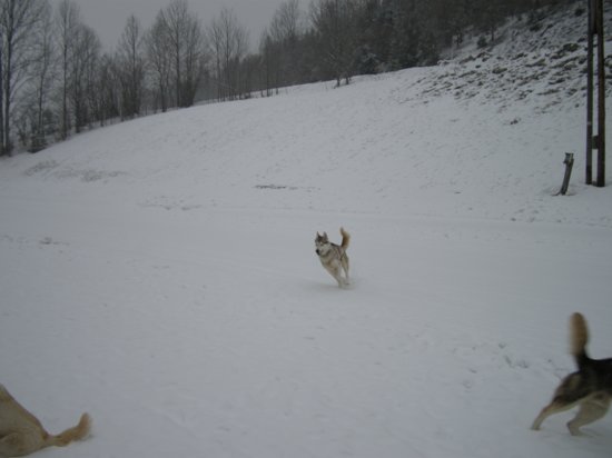 dscn0244.jpg