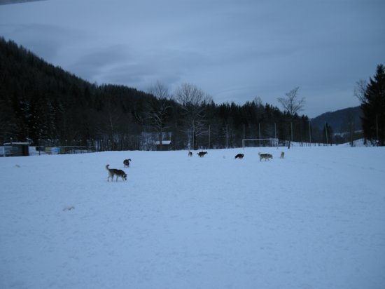 dscn0265.jpg